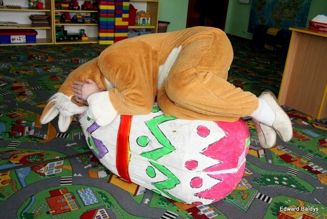 Zajączek zawitał do Świerczyny (zdjęcia)