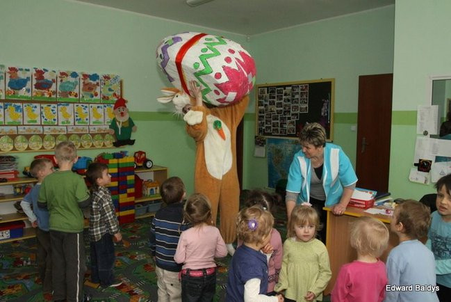 Zajączek zawitał do Świerczyny (zdjęcia)