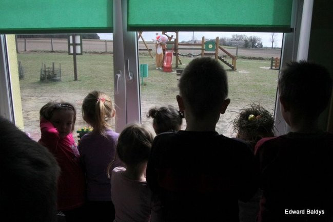 Zajączek zawitał do Świerczyny (zdjęcia)