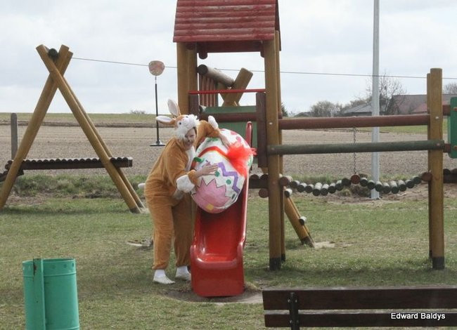 Zajączek zawitał do Świerczyny (zdjęcia)