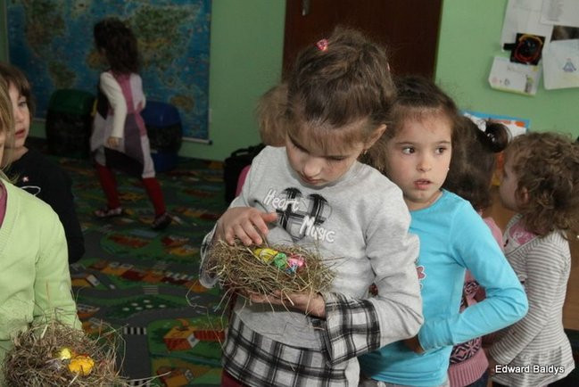 Zajączek zawitał do Świerczyny (zdjęcia)