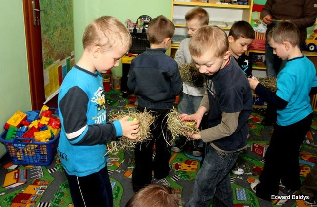 Zajączek zawitał do Świerczyny (zdjęcia)