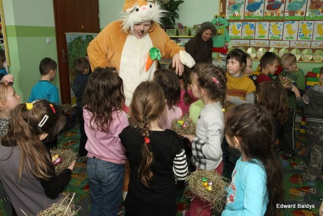 Zajączek zawitał do Świerczyny (zdjęcia)