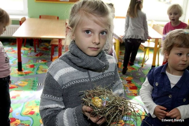 Zajączek zawitał do Świerczyny (zdjęcia)