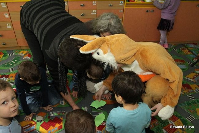 Zajączek zawitał do Świerczyny (zdjęcia)