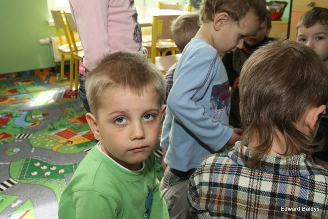 Zajączek zawitał do Świerczyny (zdjęcia)