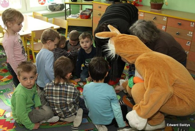 Zajączek zawitał do Świerczyny (zdjęcia)