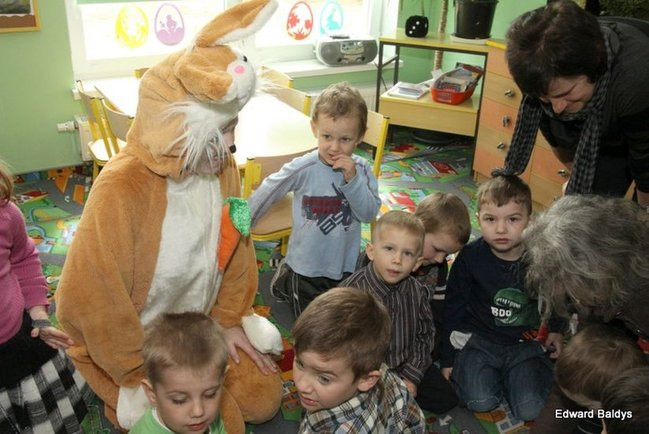 Zajączek zawitał do Świerczyny (zdjęcia)