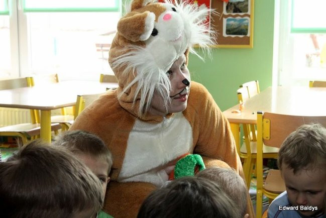 Zajączek zawitał do Świerczyny (zdjęcia)