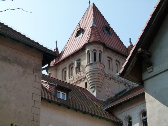 Heydebrandowie w Osiecznej (zdjęcia)