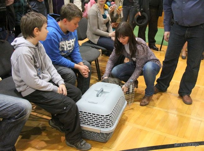 Gala kocich piękności (zdjęcia)