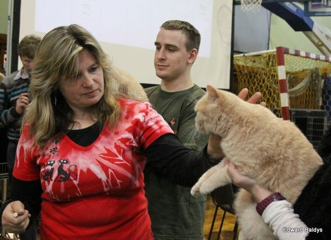 Gala kocich piękności (zdjęcia)