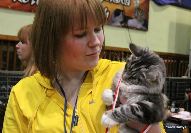 Gala kocich piękności (zdjęcia)