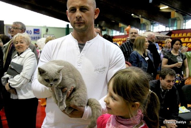 Gala kocich piękności (zdjęcia)