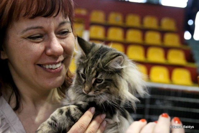 Gala kocich piękności (zdjęcia)