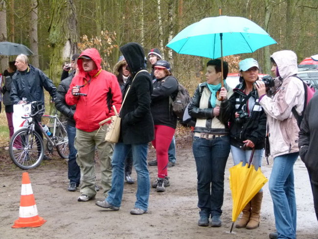 Na leśnych rundach (zdjęcia)