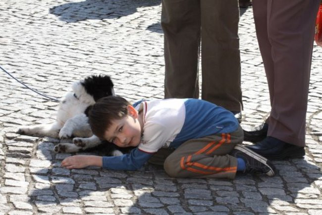 Za tydzień Szlifowanie Bruku (zdjęcia z 2011 roku)