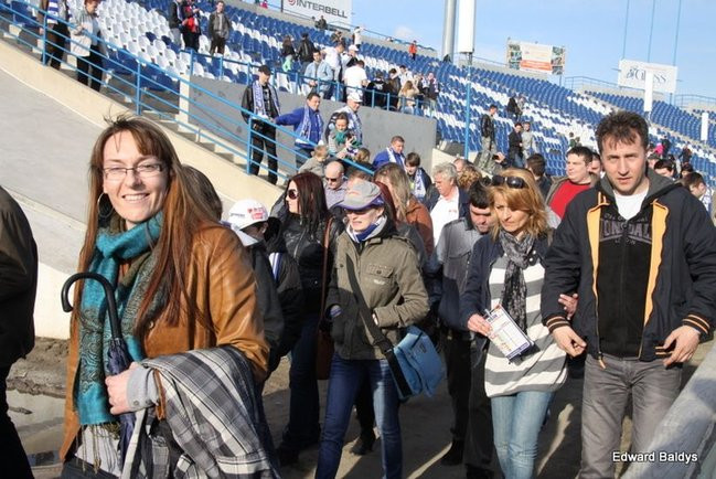 Byki z kompletem (zdjęcia)