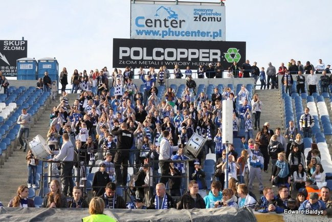 Byki z kompletem (zdjęcia)