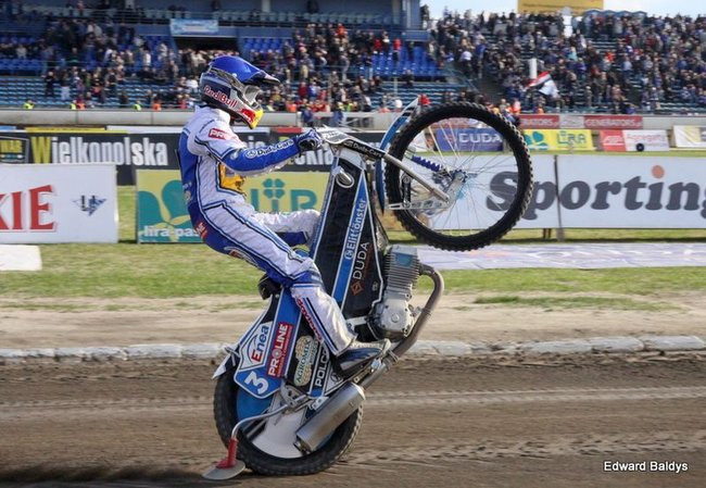 Byki z kompletem (zdjęcia)