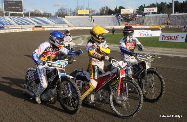 Byki z kompletem (zdjęcia)