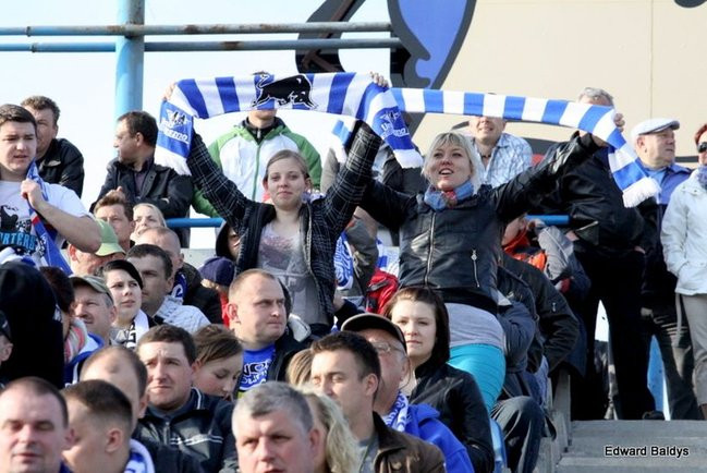 Byki z kompletem (zdjęcia)