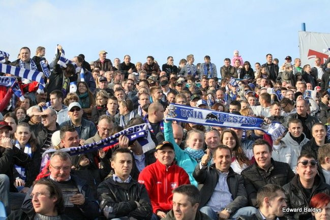 Byki z kompletem (zdjęcia)