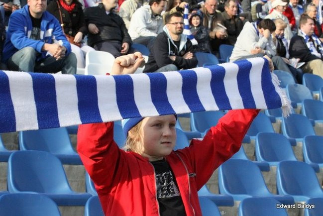 Byki z kompletem (zdjęcia)