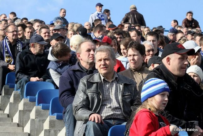 Byki z kompletem (zdjęcia)