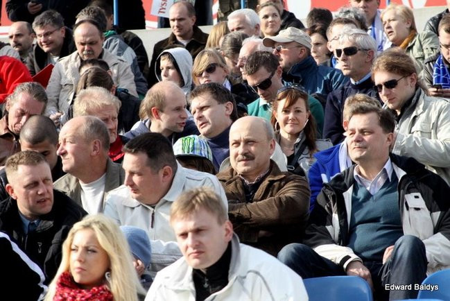 Byki z kompletem (zdjęcia)