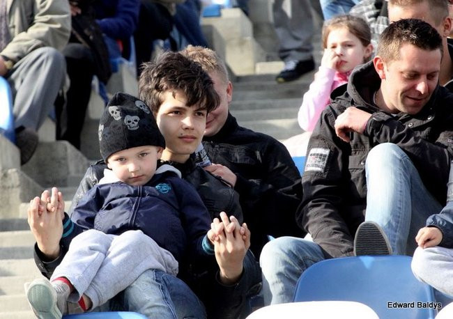 Byki z kompletem (zdjęcia)