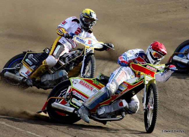 Byki z kompletem (zdjęcia)