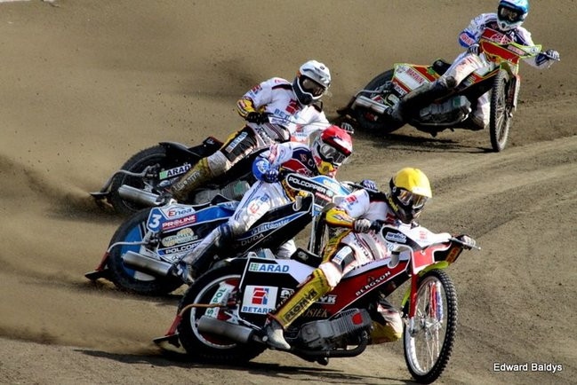 Byki z kompletem (zdjęcia)