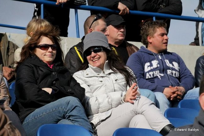 Byki z kompletem (zdjęcia)