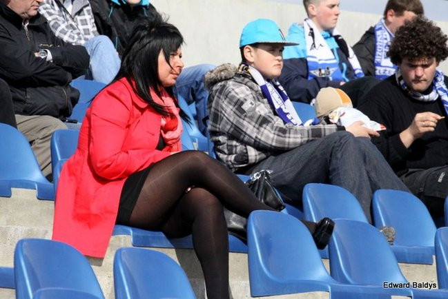 Byki z kompletem (zdjęcia)