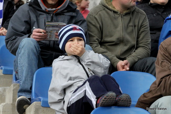 Byki z kompletem (zdjęcia)