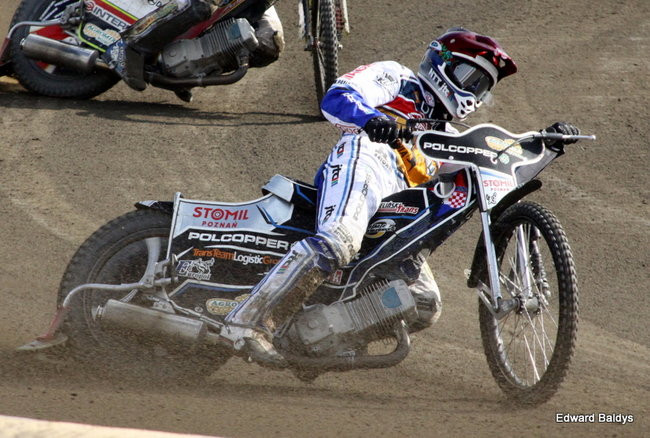 Byki z kompletem (zdjęcia)