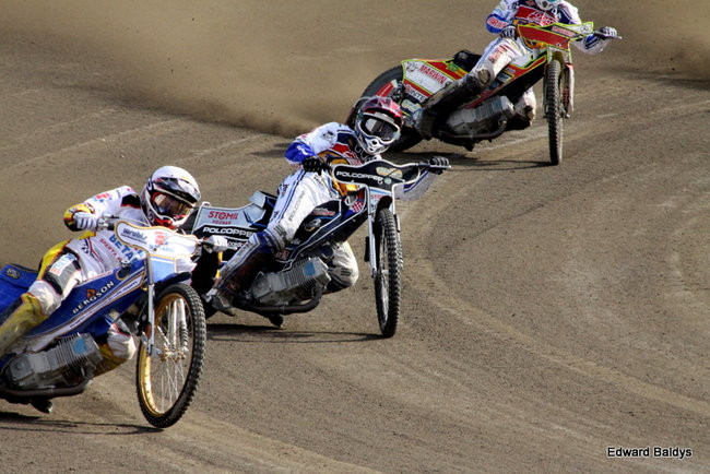 Byki z kompletem (zdjęcia)