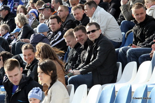 Byki z kompletem (zdjęcia)