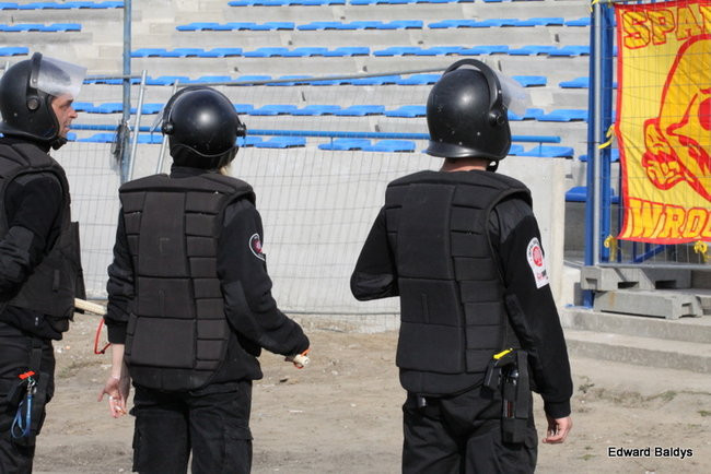 Byki z kompletem (zdjęcia)