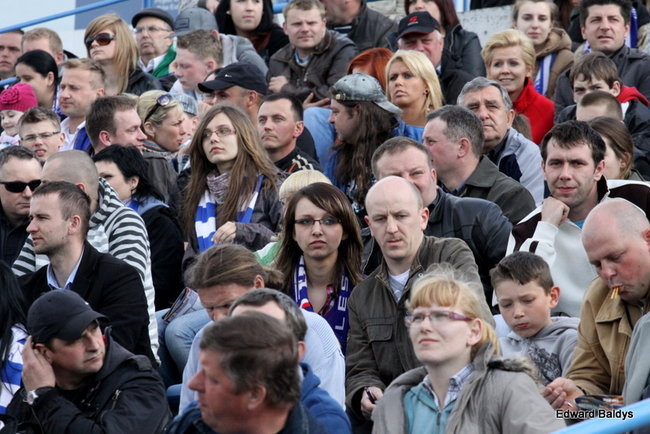 Byki z kompletem (zdjęcia)