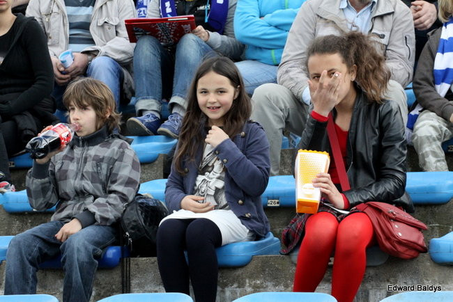 Byki z kompletem (zdjęcia)