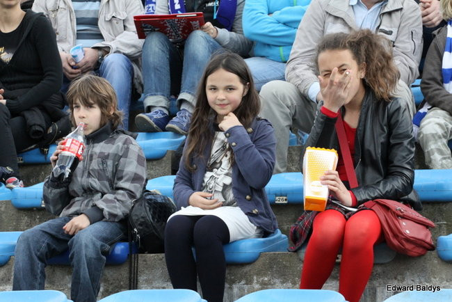 Byki z kompletem (zdjęcia)