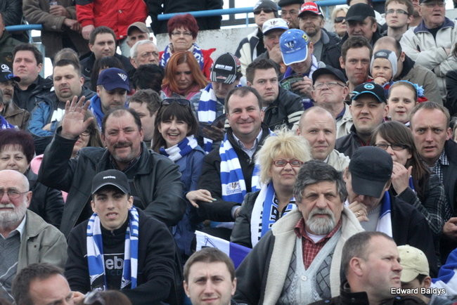 Byki z kompletem (zdjęcia)