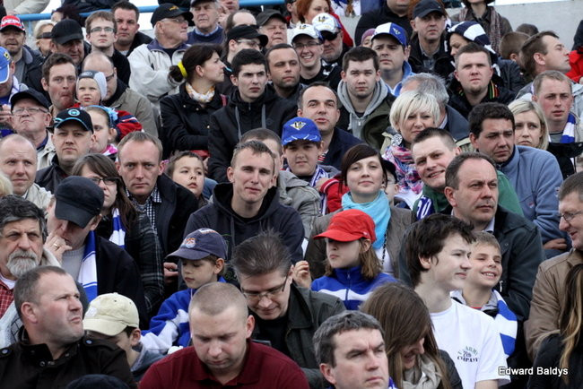 Byki z kompletem (zdjęcia)