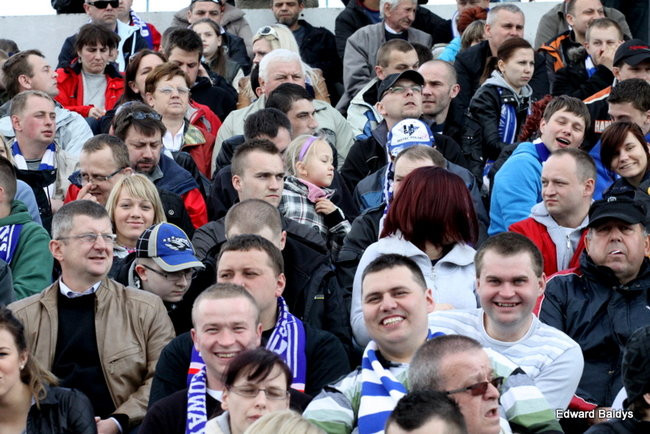 Byki z kompletem (zdjęcia)