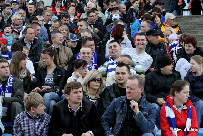 Byki z kompletem (zdjęcia)