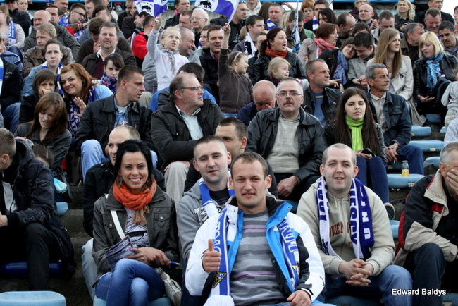 Byki z kompletem (zdjęcia)