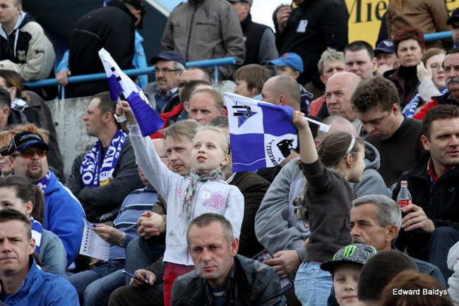 Byki z kompletem (zdjęcia)