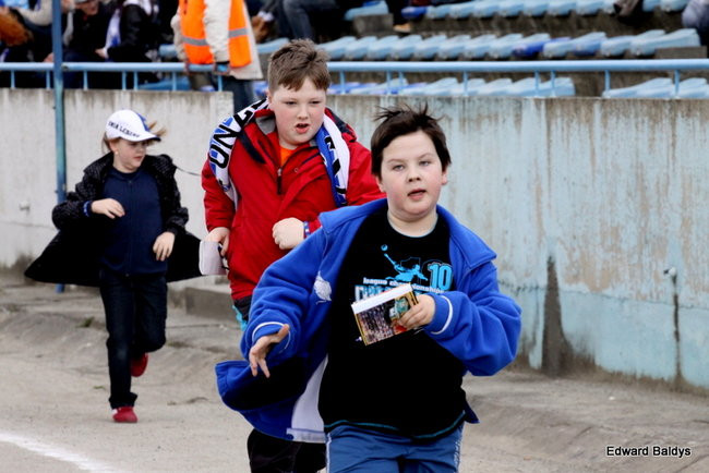 Byki z kompletem (zdjęcia)